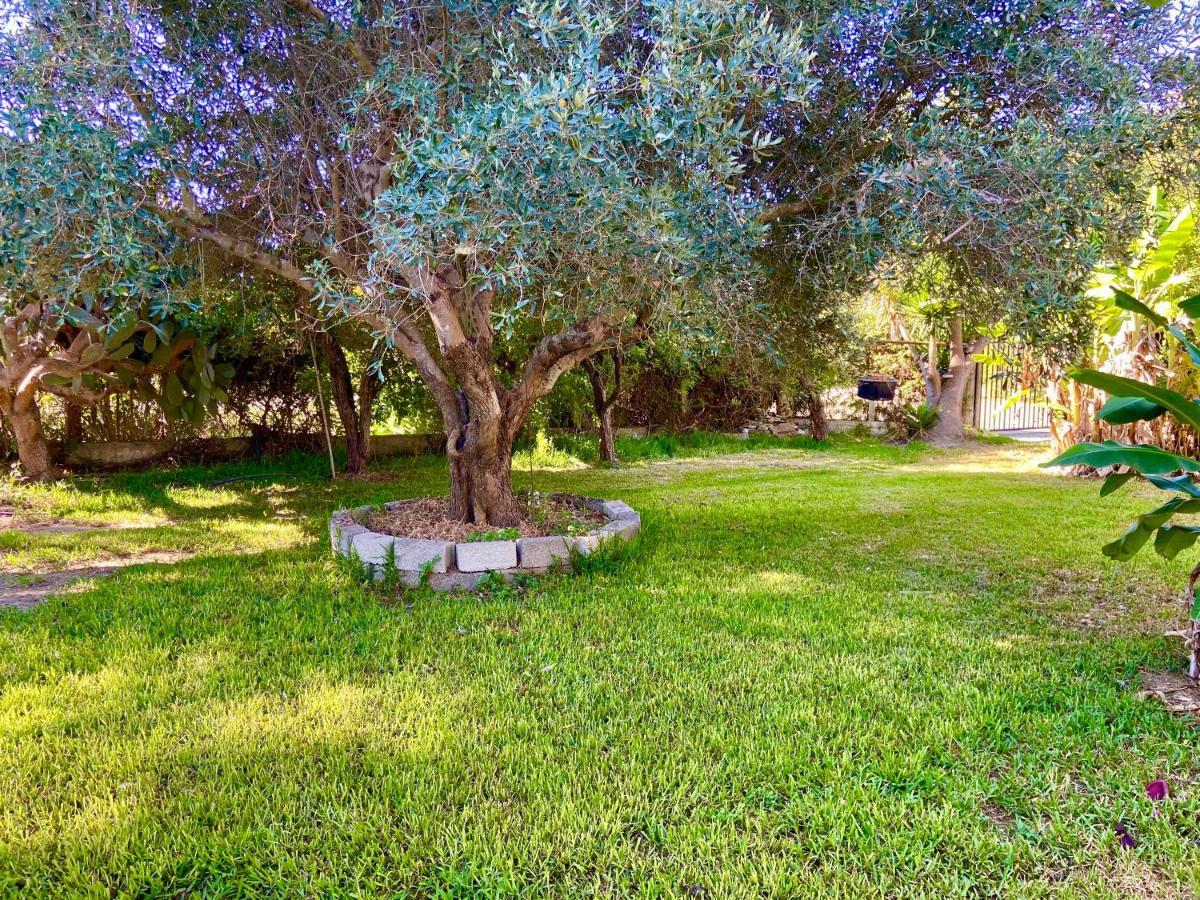 Cottage House,With Big Garden & Lawn Amaliada Buitenkant foto